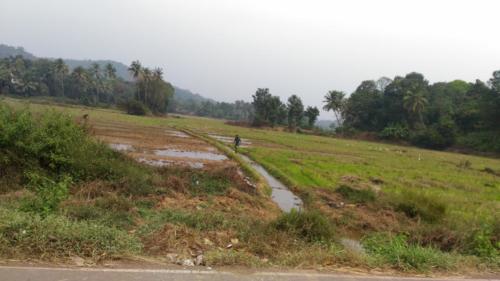 Watershed Management for Enhancing Agricultural Development of Land at Curtorim